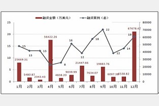 成都别墅 金科房地产